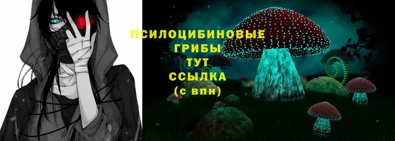 blacksprut онион  Бирюч  Галлюциногенные грибы Psilocybine cubensis 